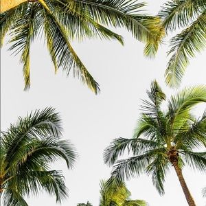 Meet your Posher, Yvonne